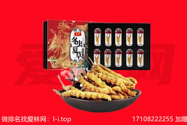 合肥市回收虫草.jpg